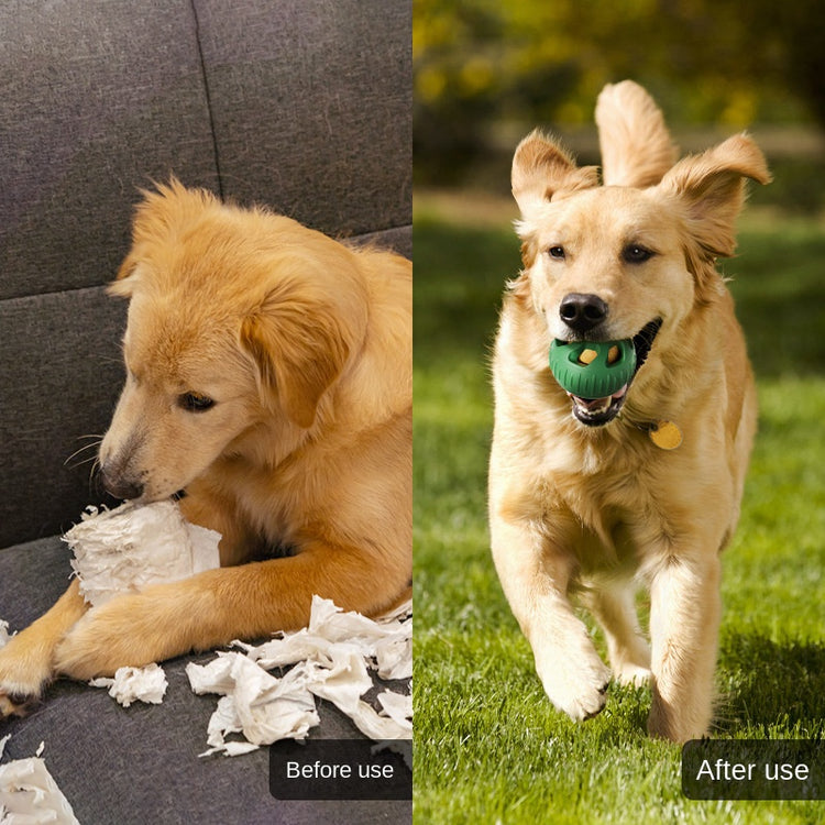 New Silicone Pet Ball Dog Toy Self-hi Interactive Slow Bite Molar Ball Matching Snacks Silicone Ball Mold