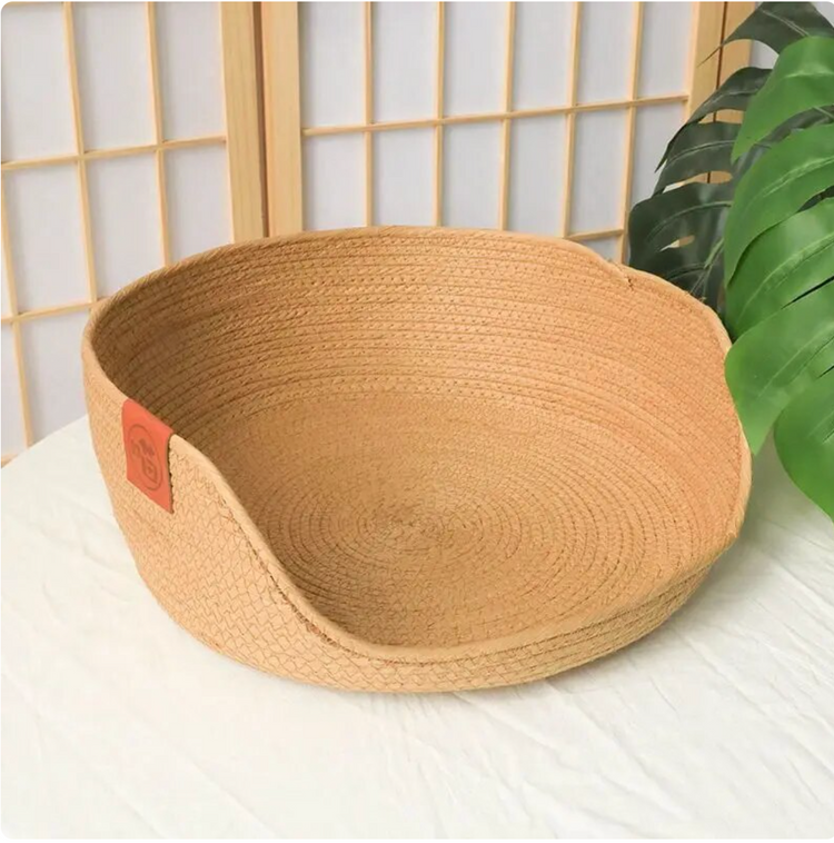 Modern Oasis Cat Bed