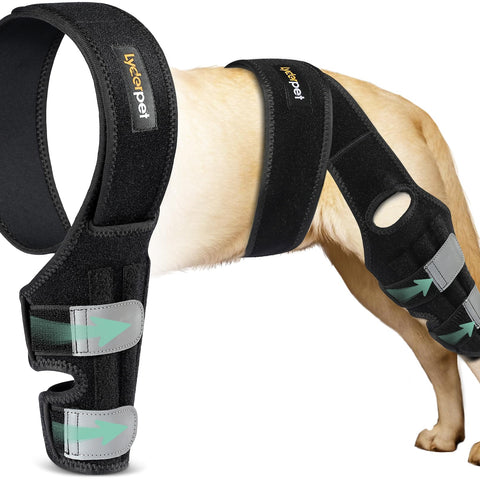 Lyderpet Dog Knee Brace – ACL Support for Hind Leg