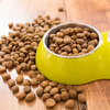 How To Choose The Right Dog Food