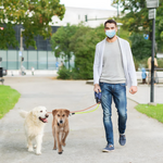 Dual Dog Retractable Leash – 360° Tangle-Free