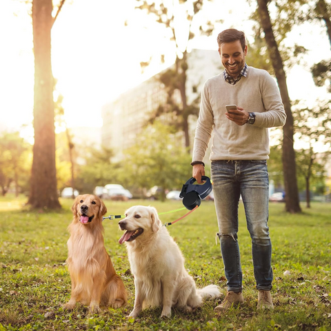 Dual Dog Retractable Leash – 360° Tangle-Free