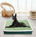 Dog Orthopedic bed