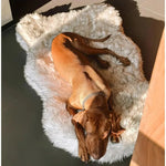 CozyCloud Orthopedic Memory Foam Dog Bed