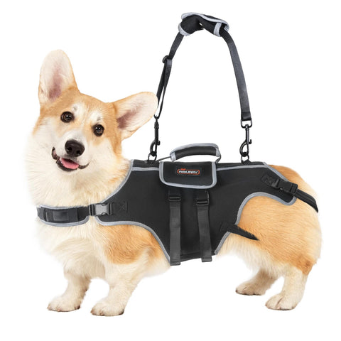 Dog Lift Harness – Full Body Support Sling with Handle