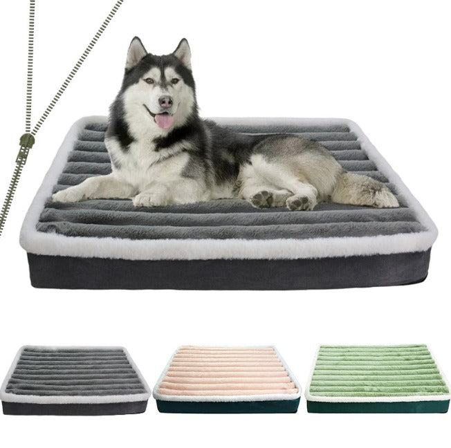 Dog Orthopedic bed