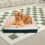 Dog Orthopedic bed