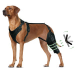 Adjustable Dog Knee Brace for ACL Support