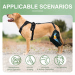 Adjustable Dog Knee Brace for ACL Support