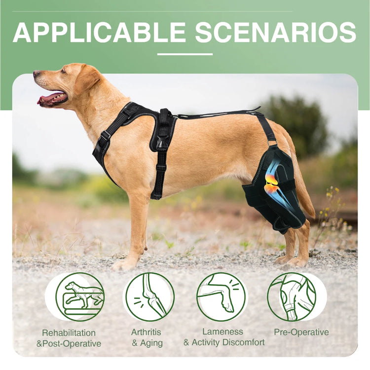 Adjustable Dog Knee Brace for ACL Support