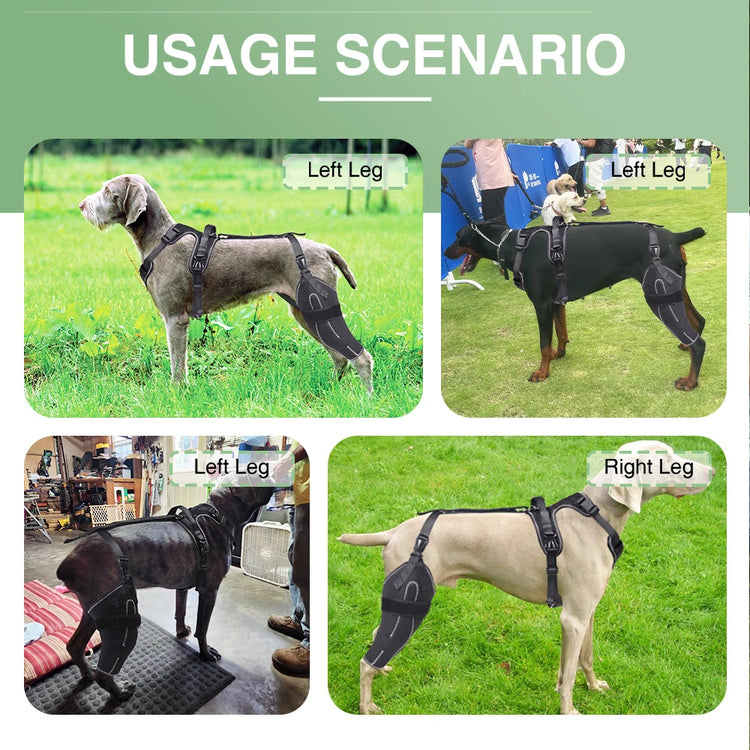 Adjustable Dog Knee Brace for ACL Support