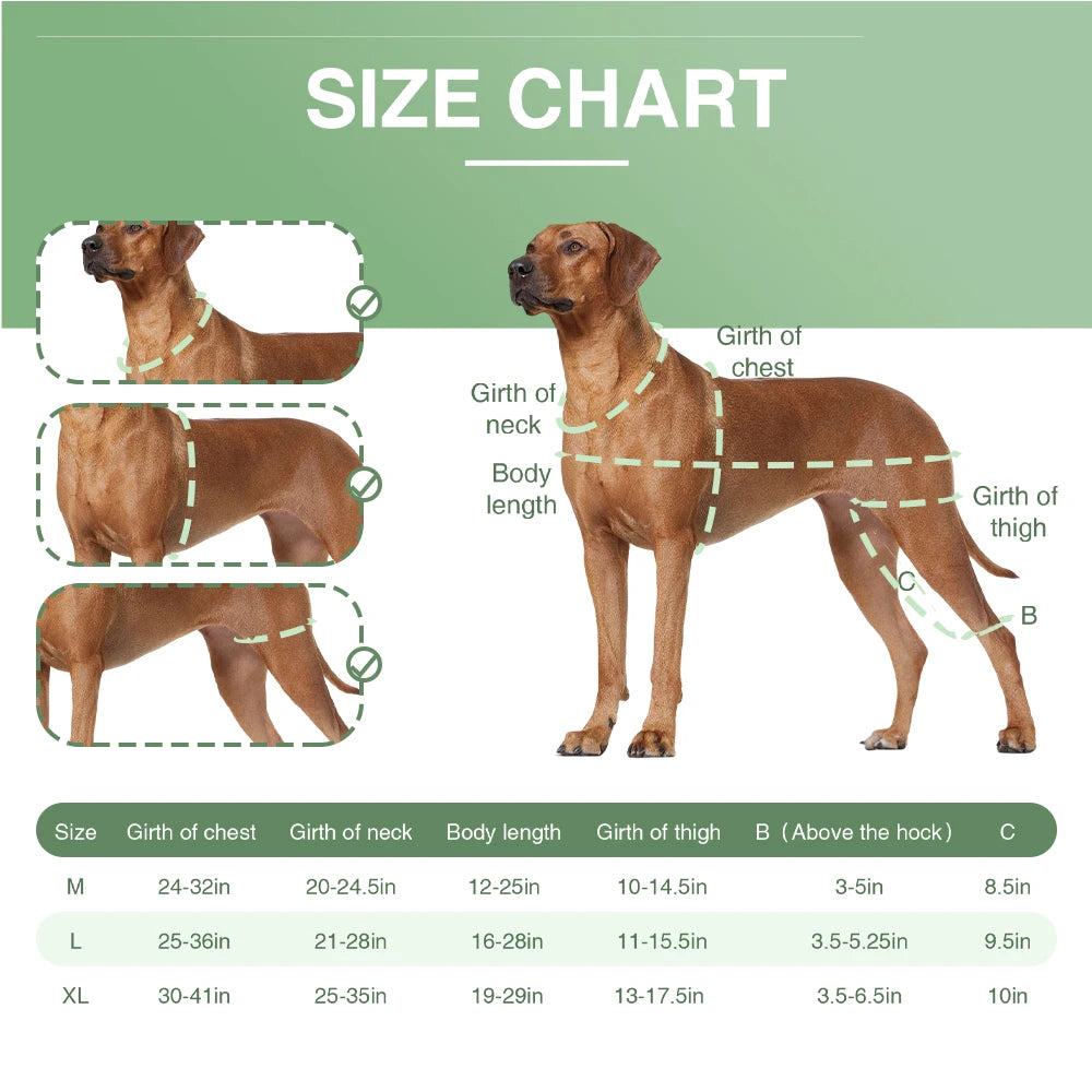 Adjustable Dog Knee Brace for ACL Support