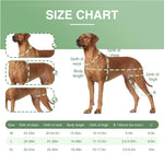 Adjustable Dog Knee Brace for ACL Support