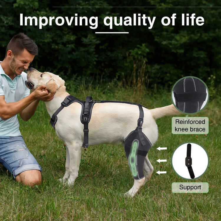 Adjustable Dog Knee Brace for ACL Support