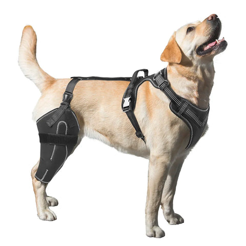Adjustable Dog Knee Brace for ACL Support