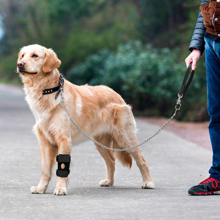 Pet Dog Leg Joint Knee Pads Patella Protection Auxiliary Rehabilitation Dog And Cat Ligament Joint Dislocation Protection