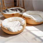 Modern Oasis Cat Bed