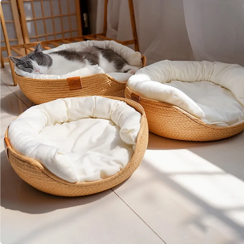 Modern Oasis Cat Bed