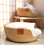 Modern Oasis Cat Bed