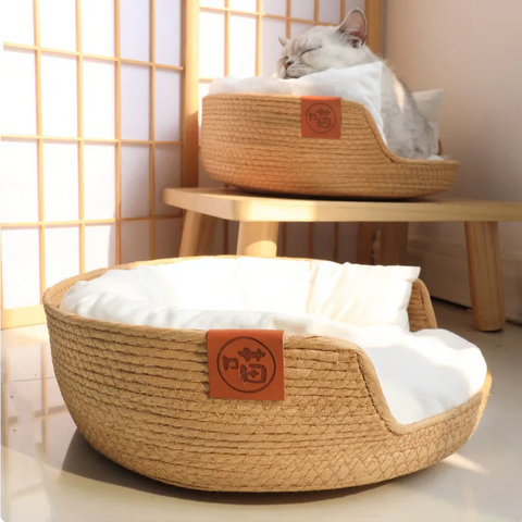 Modern Oasis Cat Bed