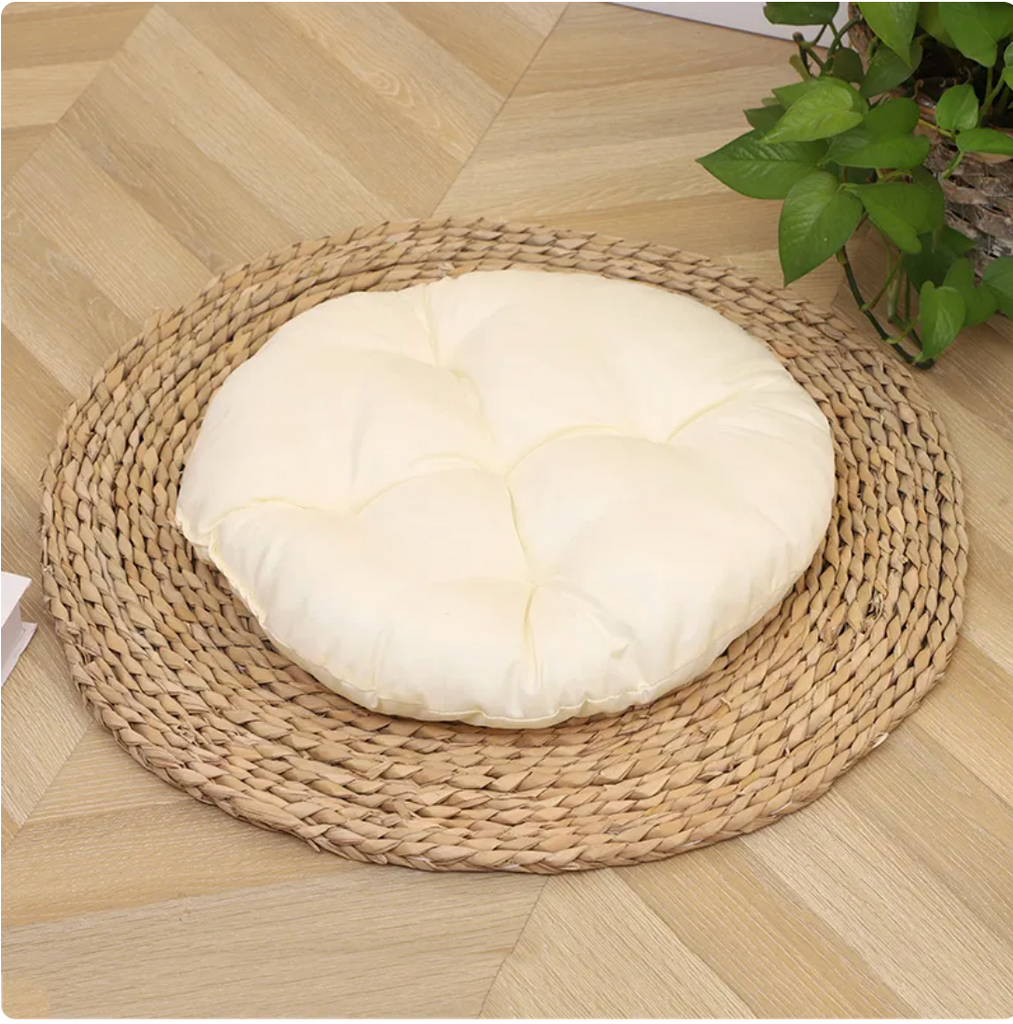 Modern Oasis Cat Bed