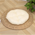 Modern Oasis Cat Bed