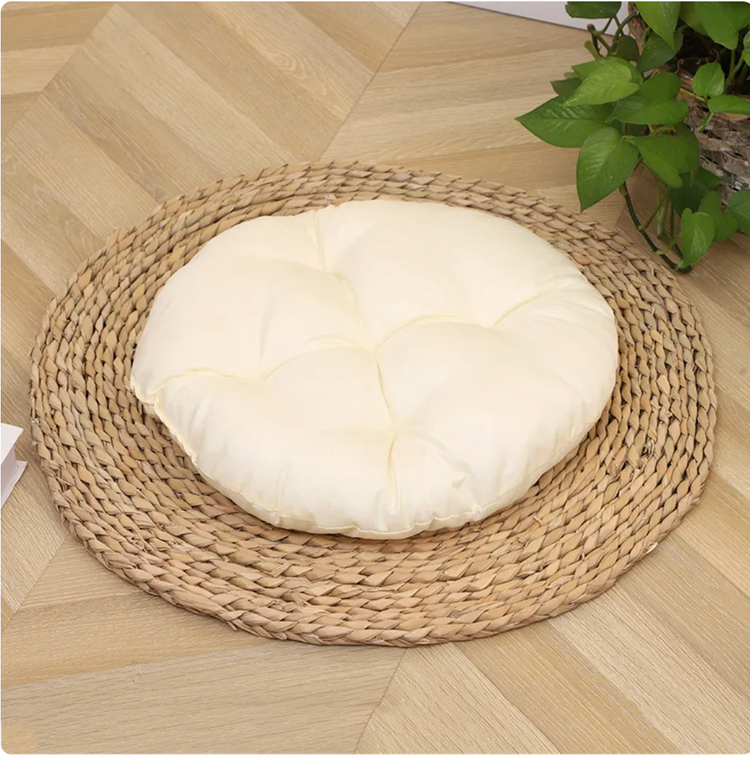 Modern Oasis Cat Bed
