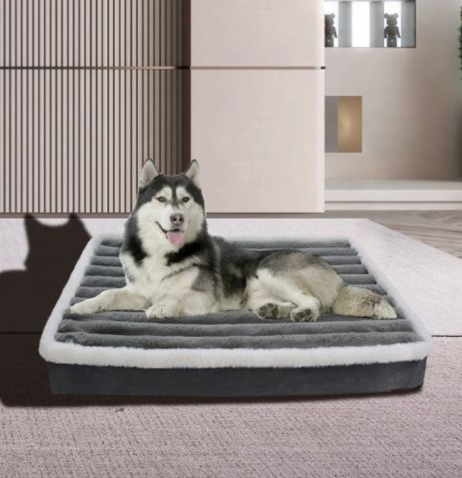 Dog Orthopedic bed