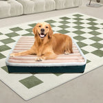 Dog Orthopedic bed