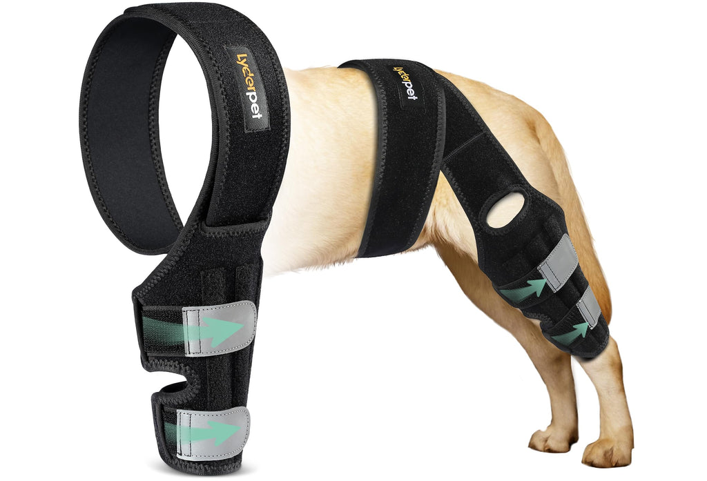 Lyderpet Dog Knee Brace – ACL Support for Hind Leg