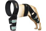 Lyderpet Dog Knee Brace – ACL Support for Hind Leg